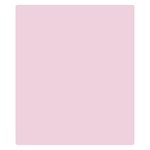Personalized Family Name Love Heart 2 Two Sides Premium Plush Fleece Blanket (Kids Size) 50 x40  Blanket Back