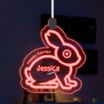 Easter Rabbit LED Acrylic Ornament Front