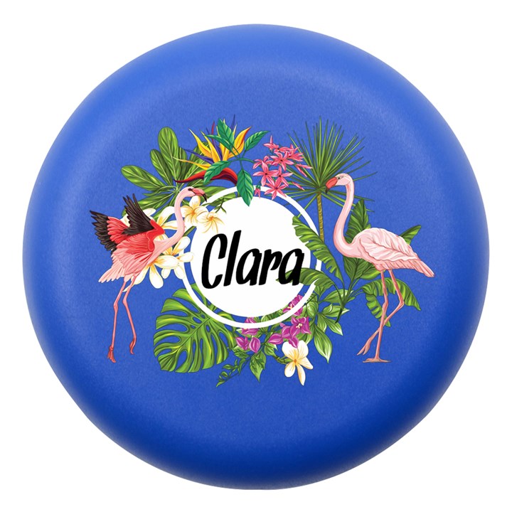 Personalized Flamingo Name Dento Box Dento Box with Mirror